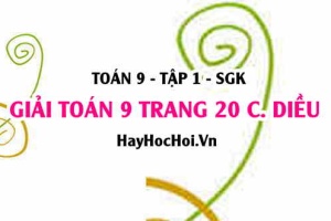 Giải Toán 9 trang 20 tập 1 Cánh Diều